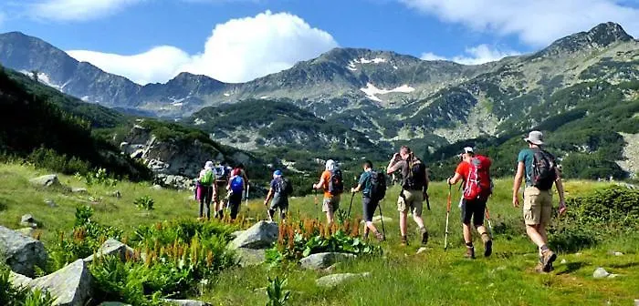 4, 4min Walk To Slope At Predela2