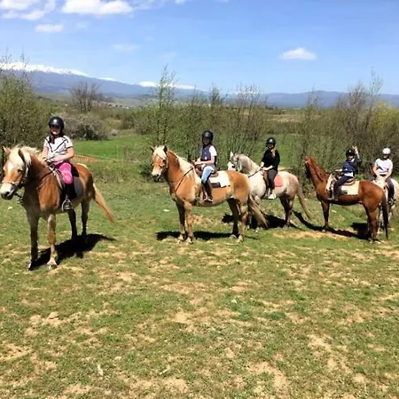 4, 4min Walk To Slope At Predela2 *