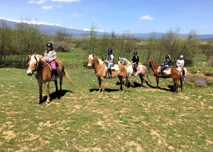 4, 4min Walk To Slope At Predela2 *